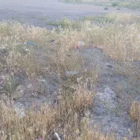 زمین مسکونی
