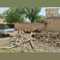 خرید و فروش چوب