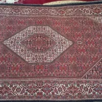 فرش دستباف نو قالیچه با خامه باختر|فرش|ایجرود, |دیوار