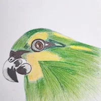 اموزش نقاشیخط با خودکار