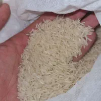 برنج لذیذ|خوردنی و آشامیدنی|رباطکریم, رباطکریم|دیوار