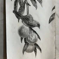 سیاه قلم/ طراحی|تابلو، نقاشی، عکس|الیگودرز, |دیوار