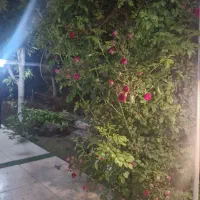 باغ-زردنجان-گاز-برق-شخصی-سند-تک-برگ