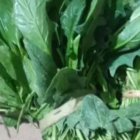 سبزی خورشی و آشی