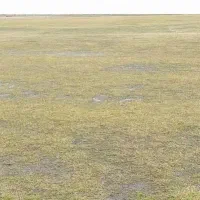 اجاره ۱۲ هکتار زمین در لیشتر