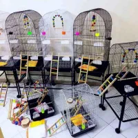 انواع قفس عروس هلندی کوتوله قناری فنچ طوطی کاسکو
