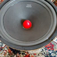 یک جفت میدرنج سایز ۱۰ ویس دیزاین دانمارک