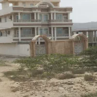 نما رومی و کلاسیک .ساده پله .لکه|خدمات پیشه و مهارت|چابهار, |دیوار