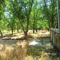 اجاره باغ رستوران با کلیه امتیازات جنب پمپ بنزین