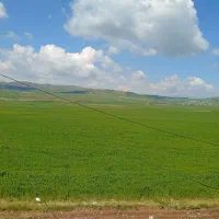 زمین-کشاورزی-5هکتار-با-چاه-آب-پر-فشار