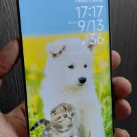 موبایل شیامی 13 پرو پلاس 512 5G|موبایل|مشهد, حجاب (شهرک غرب)|دیوار