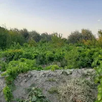 فروش باغ صفا