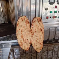 به دنبال یک شاطرخوب وکاردرست نان شلاقی دایمی