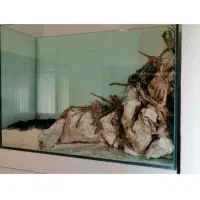 سرویس آکواریم|ماهی|تهران, استقلال|دیوار