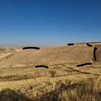 زمین کشاورزی دیم توافقی|فروش زمین و ملک کلنگی|روانسر, |دیوار