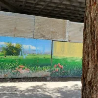 زمین-حاشیه-اصلی-کشف