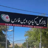 استخدام حسابدار