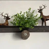 انواع مجسمه زیبا|مجسمه، تندیس، ماکت|ایلام, |دیوار