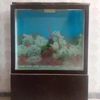 آکواریوم بزرگ