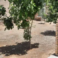 خانه ویلایی مستقل سرآبتاوه