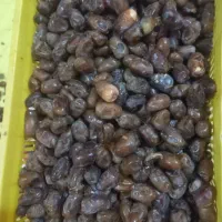 ۴۰۰کیلو خرما کروت دست چین