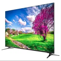 ال ای دی ایکس ویژن ۵۵اینچ|تلویزیون و پروژکتور|پرند, فاز ۱|دیوار