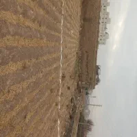 فروش فوری زمین