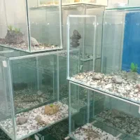 اکواریم برای فروش ماهی