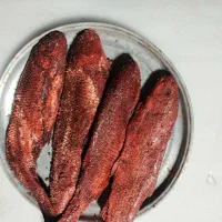 ماهی شور|ماهی|کیاشهر, |دیوار