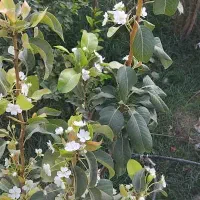 جذب سرمایه گزاری