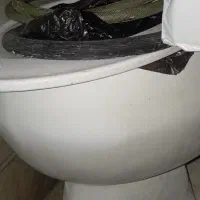 توالت فرنگی