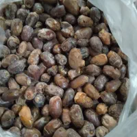 بهترین خرمای کروت کیلویی ۳۷ هزار تومان