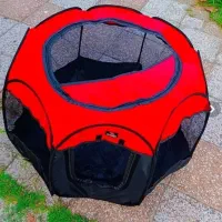 پارک بازی سگ