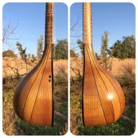 سه تار حرفه ای کمال الدین|سازهای سنتی|تهران, استاد معین|دیوار