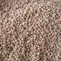 لوبیا آشی محلی 20کیلو به بالا 125ارسال هم دارم|خوردنی و آشامیدنی|ایلام, |دیوار