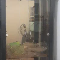 بوفه تمیز و سالم