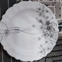 ظروف آکروپال