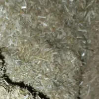 کاه دست اول درجه یک گندم ریز