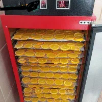 دستگاه میوه خشکن 60کیلو