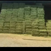 یونجه.کاه.سیلو