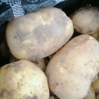 موادغذایی