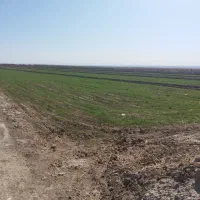 زمین-به-همراه-چاه-آب-نیمه-عمیق