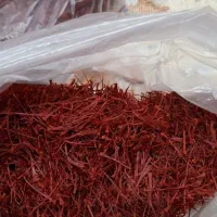 زعفران اصل لرستان از کشاورز خریداری شده