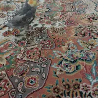 عروس هلندی نر