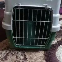 فروش باکس گربه