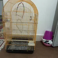 قفس و لونه عروس هلندی|لوازم جانبی حیوانات|خورموج, |دیوار