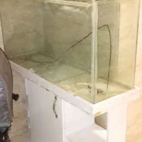 اکواریوم سفید