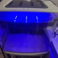 شیشه آکواریوم خانگی لوکس|ماهی|کیش, |دیوار