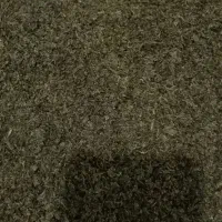 سبزی نیشابور