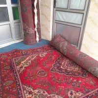 فرش کارکرد|فرش|بهشهر, |دیوار